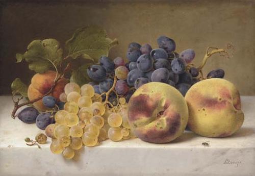 Johann Wilhelm Preyer A Still Life with Peaches and Grapes on a Marble Ledge Sweden oil painting art